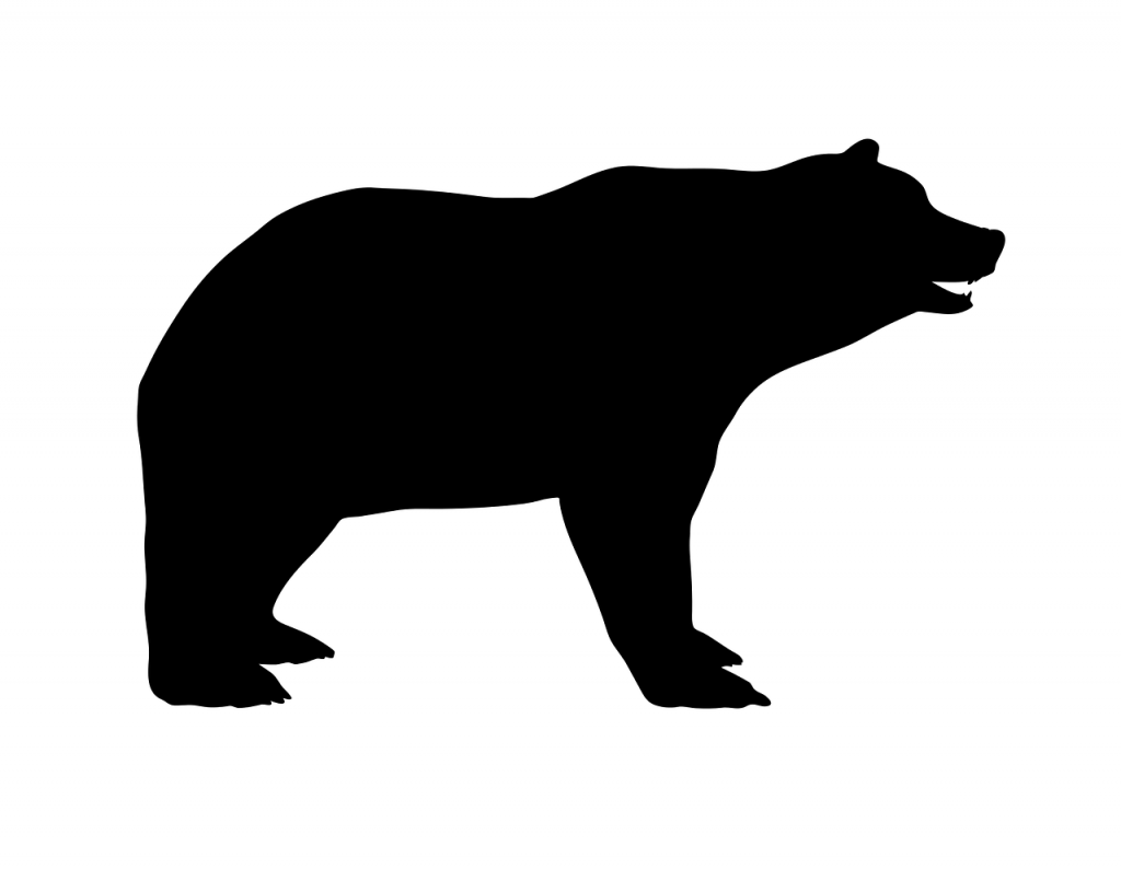 bear, large, heavy