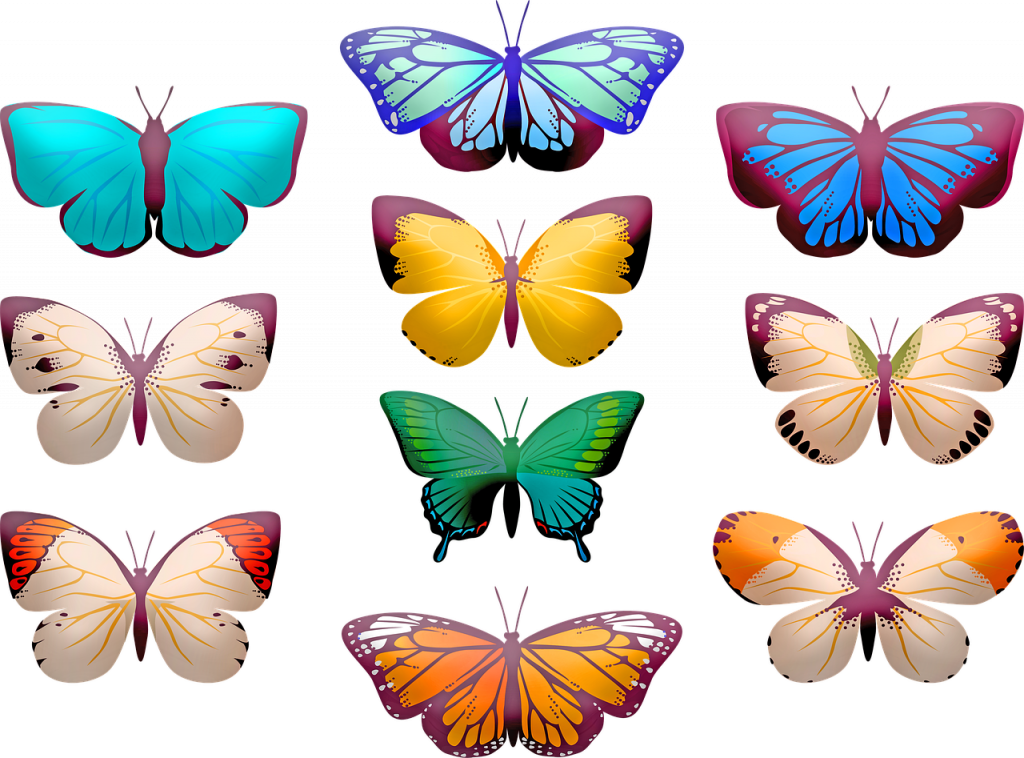 butterfly clip art, butterflies, insect