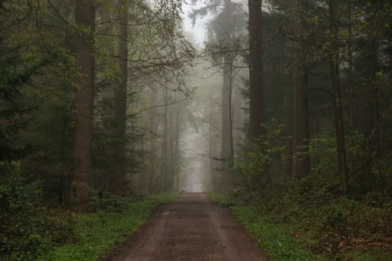 The Difference Between Being Alone and Being Lost: What Monastic Solitude Reveals About America's Loneliness Crisis