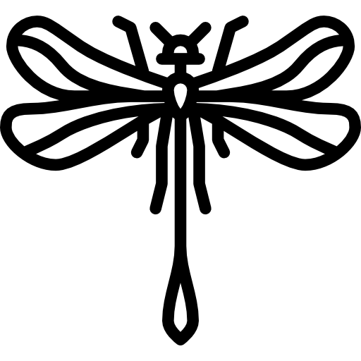 Dragonfly [Λιβελούλα]