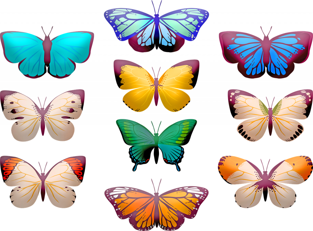 butterfly clip art, butterflies, insect