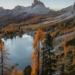 Veronica Keal: A Comprehensive Overview